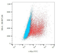 c-Myc tag, FITC conjugated (clone 9E10) in the group Tag Antibodies / Myc at Agrisera AB (Antibodies for research) (AS21 4627)